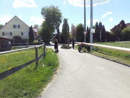 Maibaum aufstellen 2018