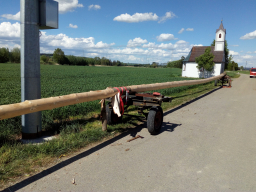 Maibaum aufstellen 2018