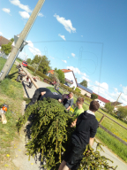 Maibaum aufstellen 2018