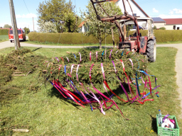 Maibaum aufstellen 2018
