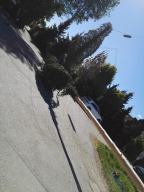 Maibaum aufstellen 2018