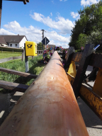 Maibaum aufstellen 2018