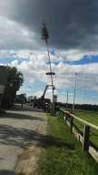 Maibaum aufstellen 2018
