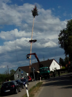 Maibaum aufstellen 2018