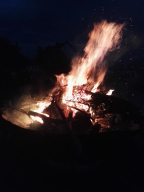Maibaum aufstellen 2018